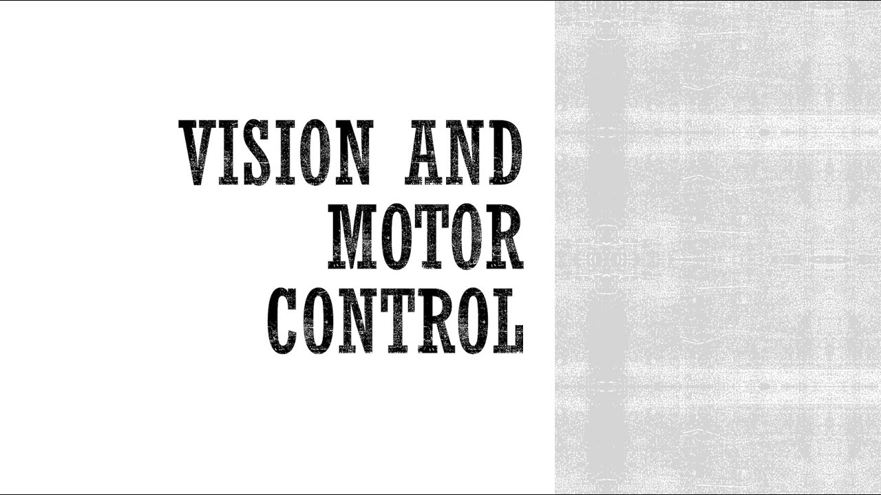 Vision and Motor Control