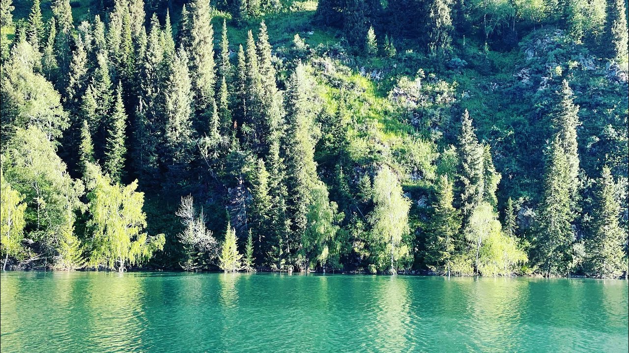 РЫБАЛКА В ГОРАХ , ЛОВЛЯ ОСМАНА