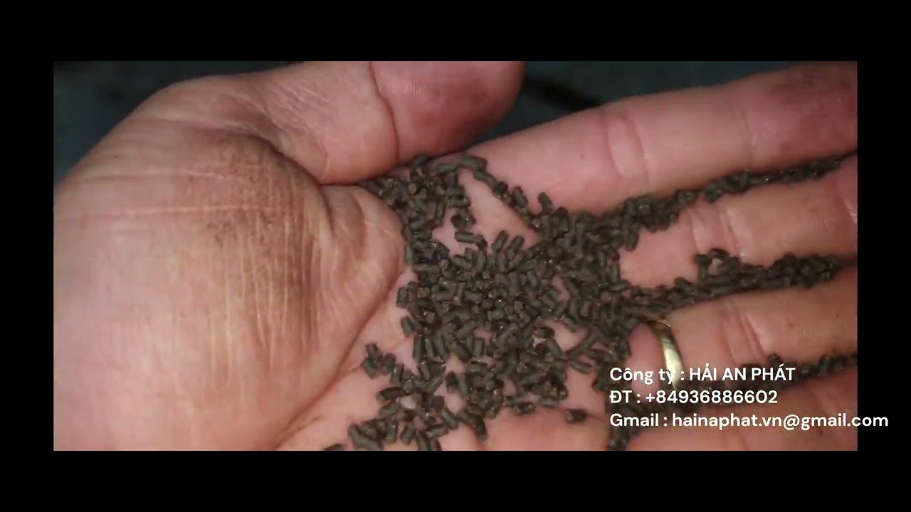 Shrimp Feed Equipment