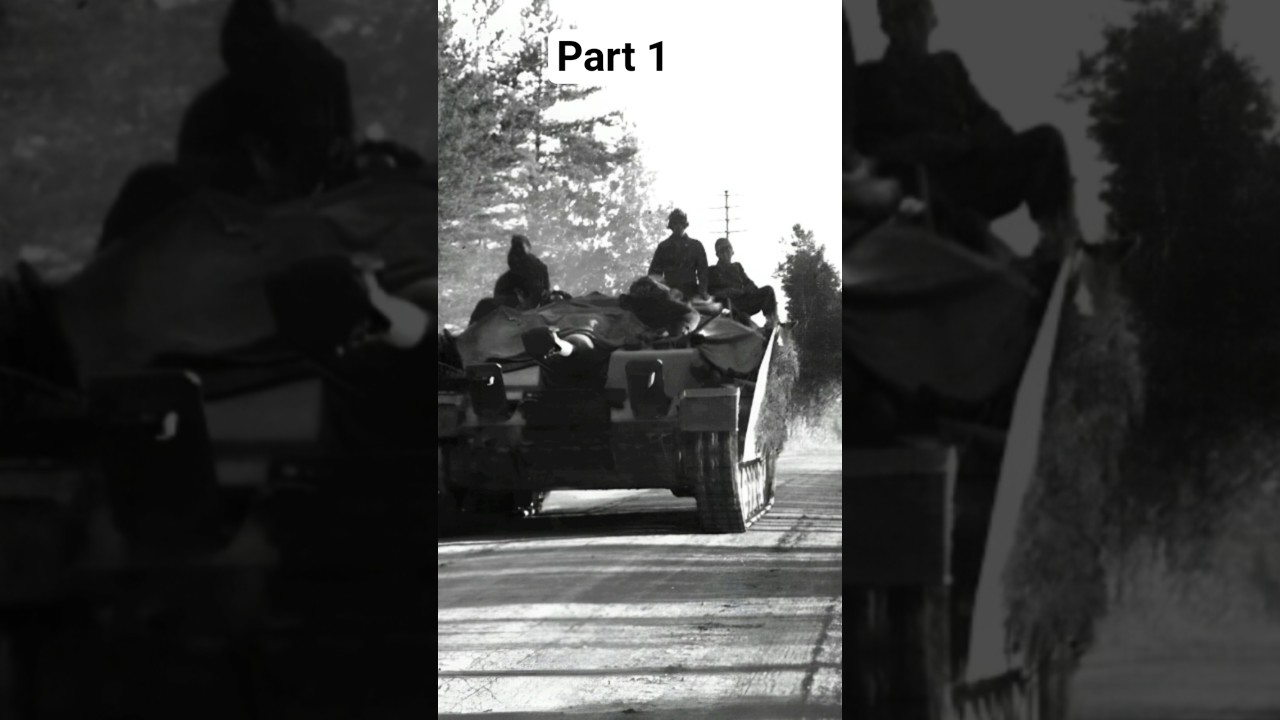 Немецкий StuG III: самое смертоносное штурмовое орудие Второй мировой войны #ww2 #история #факты