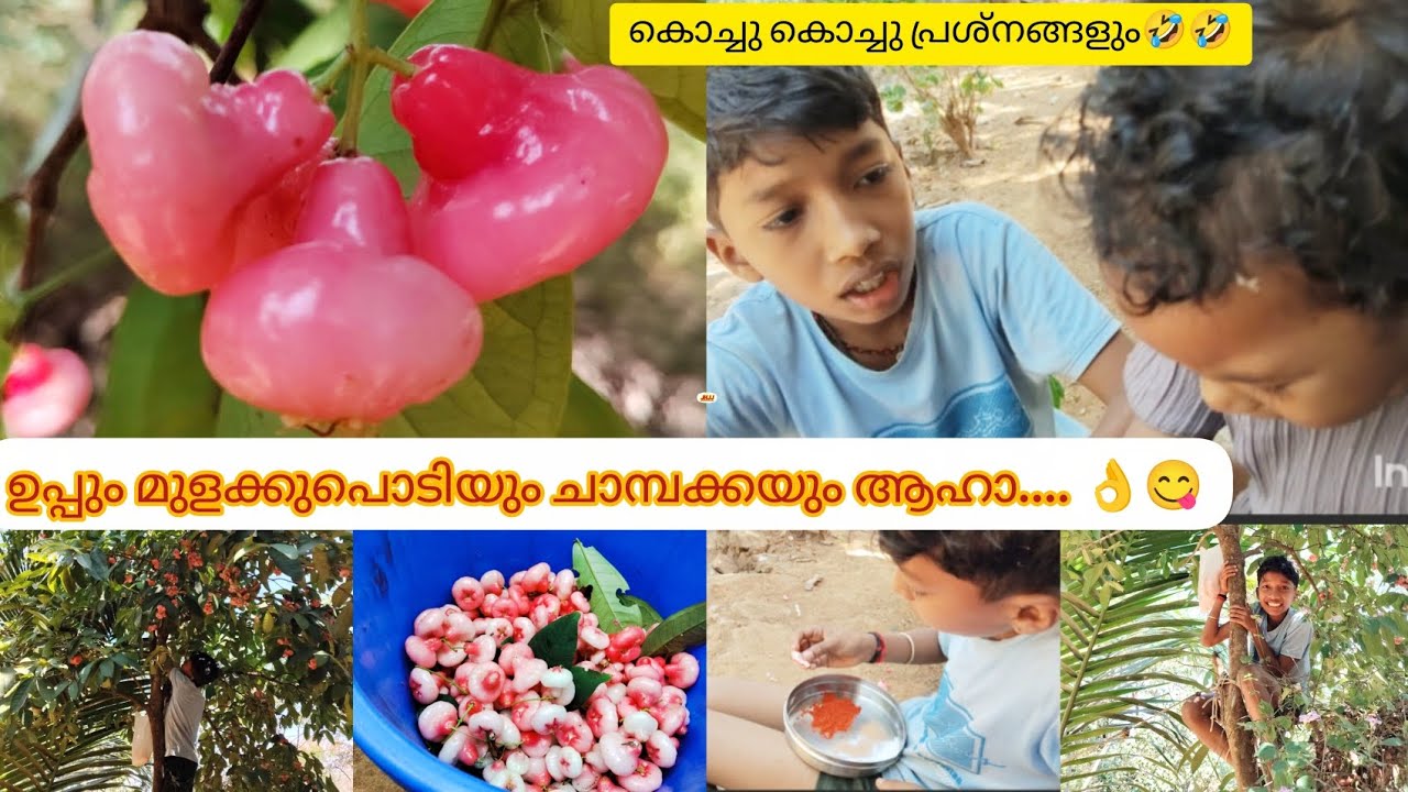🙎‍♂️🙎ഇവർ മുൻജന്മത്തിലെ ശത്രുക്കൾ ആണെന്നാ തോന്നണേ.🥹#highlights #familyvlog @adhiajiofficial3386 