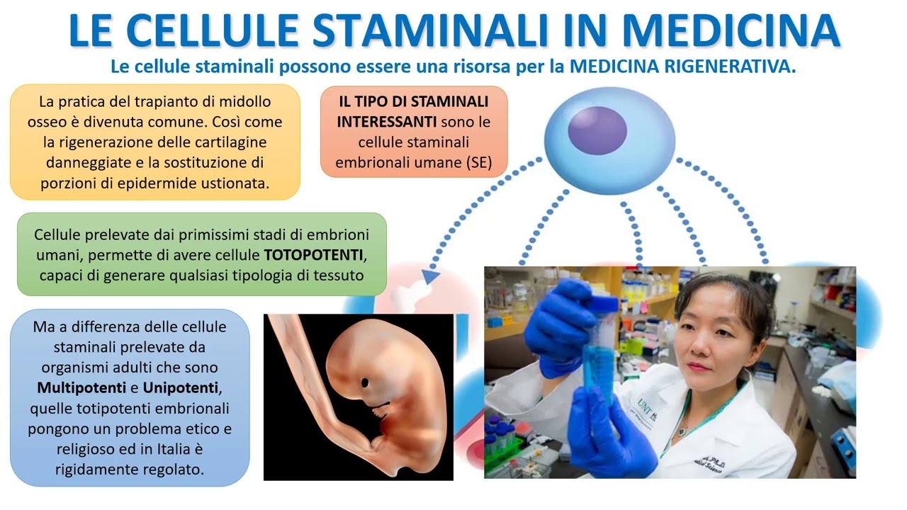 LE CELLULE STAMINALI