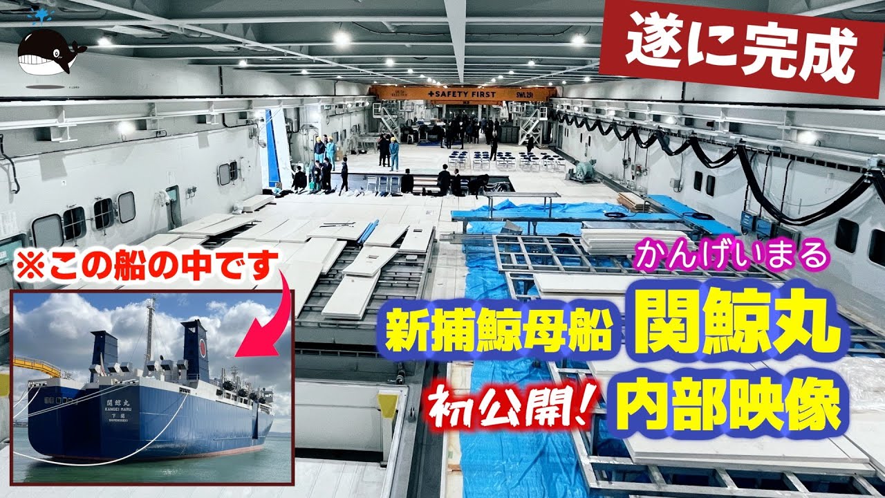 【船内ツアー】捕鯨母船『関鯨丸』内部を初公開！常識破りの最新設備でクジラ肉の未来はどう変わる！？