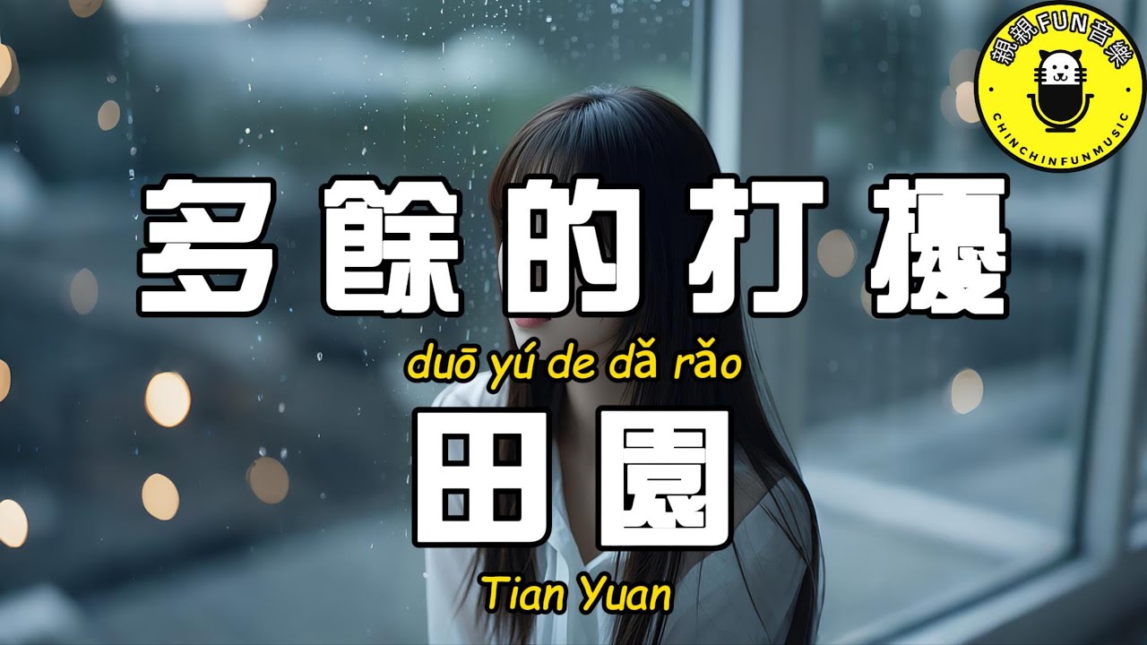 田園 - 多餘的打擾『窗外淅淅瀝瀝下著雨 孤孤單單的我想著你』【繁體拼音動態歌詞Lyrics】【CC字幕】