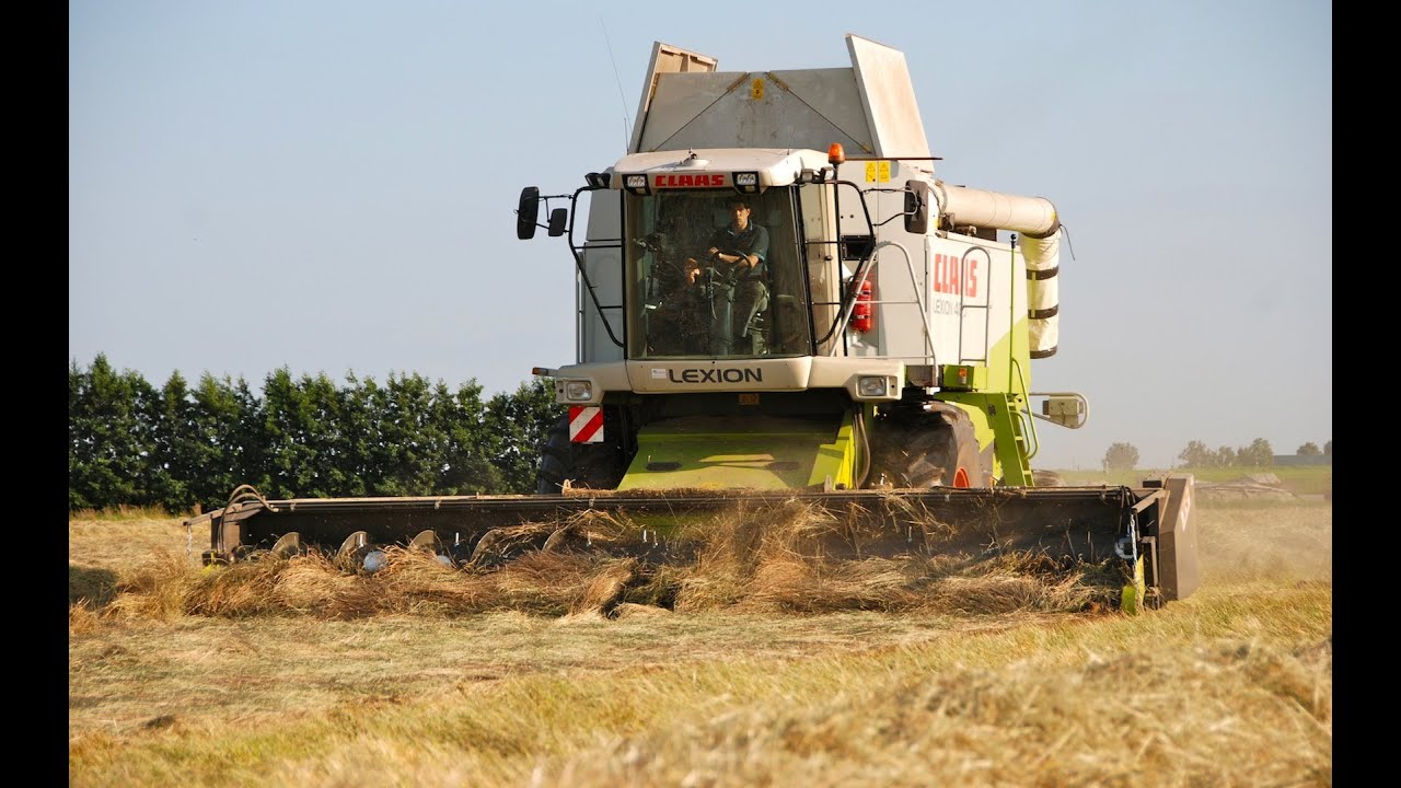 Claas Lexion 480 w/ D.B.F. Energy Pick-Up Graszaad dorsen / Combining grasseed - Veerman Goudswaard
