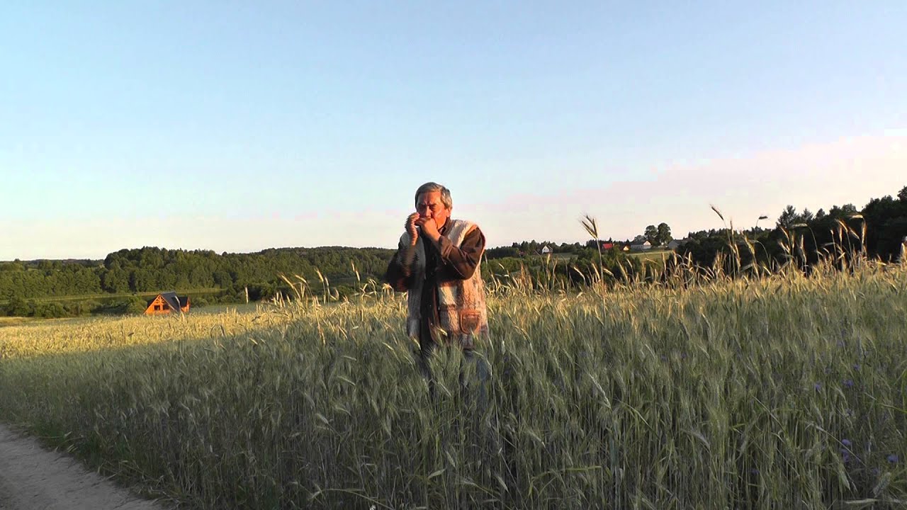 Orawa. Pieśń ludowa na harmonijce ustnej
