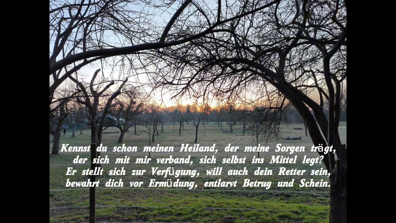 Sorgen - Gedicht
