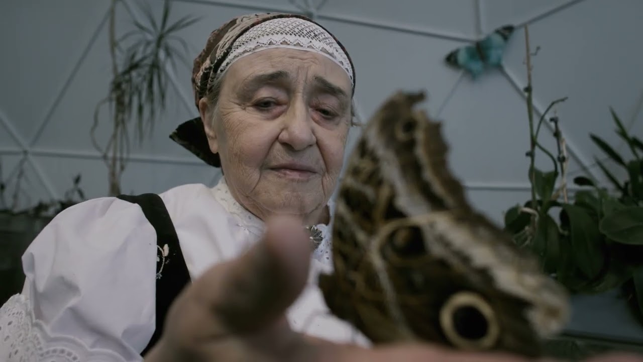 JAWORZE   Danuta Mynarska