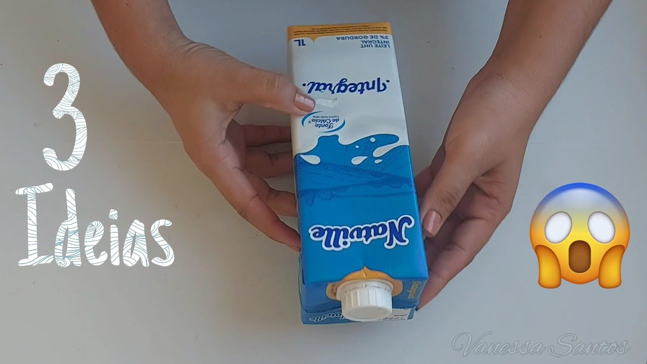 3 IDEIAS incríveis de artesanato com caixa de leite | Faça você mesmo
