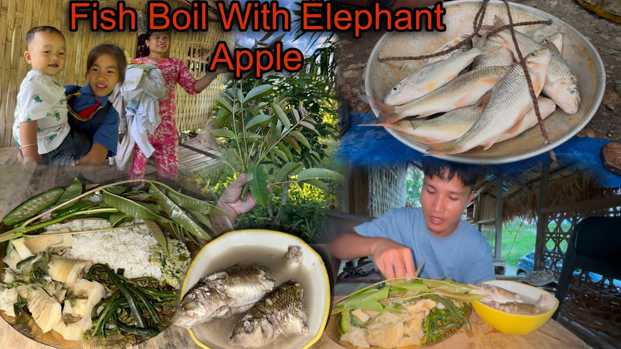 Eating Lots of Veggies and Local Fish Boil With Elephant Apples || Happy Independence Day 🇮🇳 