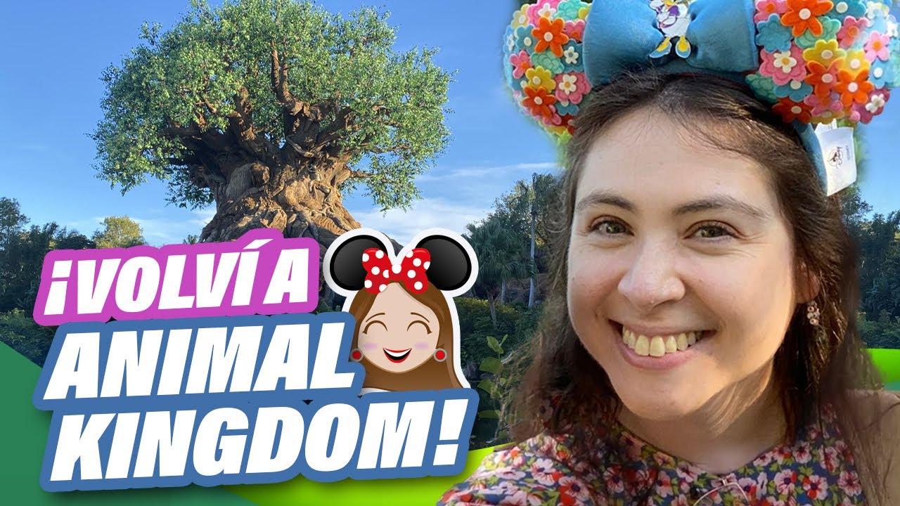 ¡POR QUÉ AMO ANIMAL KINGDOM! / CLASE DE DIBUJO, FESTIVAL DEL REY LEÓN Y KALI RIVER RAPIDS
