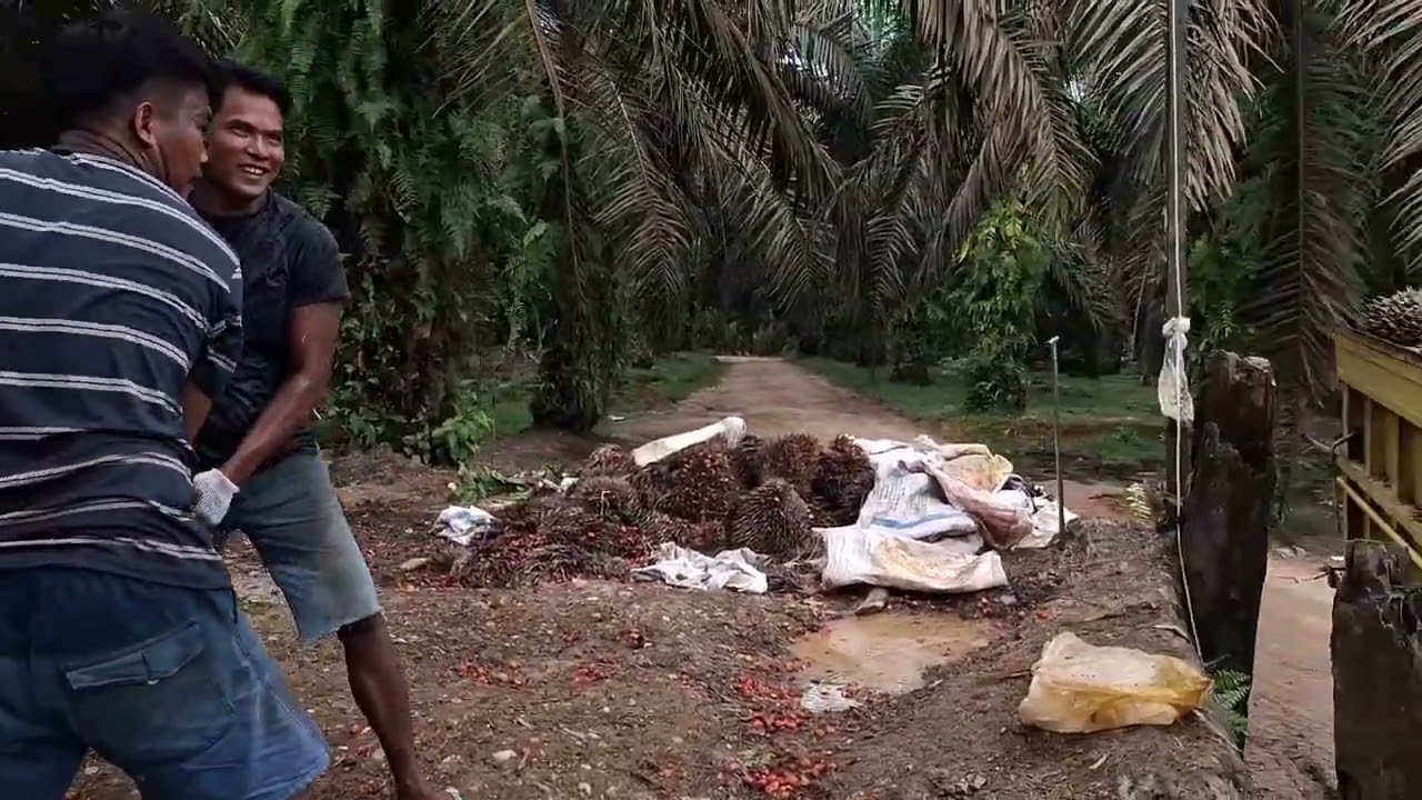 Muat mobil sawit bak tongkang dari atas peron