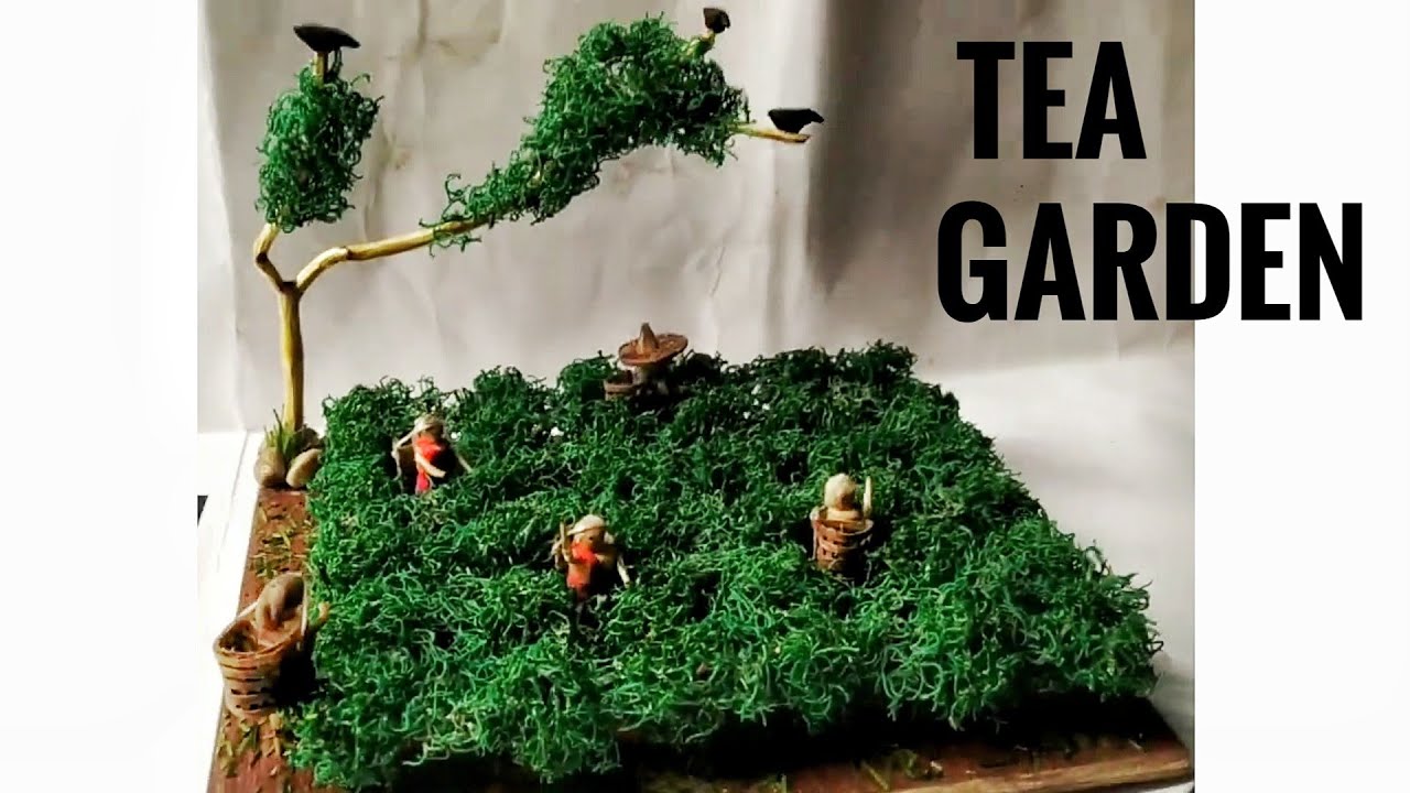 TEA GARDEN OF ASSAM || HAND MADE MINI CRAFT MODEL ||