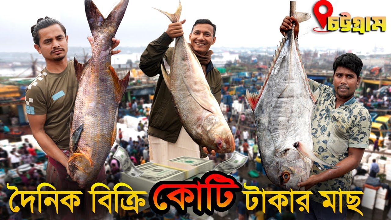 চট্টগ্রাম ফিশারি ঘাট: কর্ণফুলীর বুকে গড়া একটি জীবনচিত্র।।Untold struggle of Bangladeshi Fisherman
