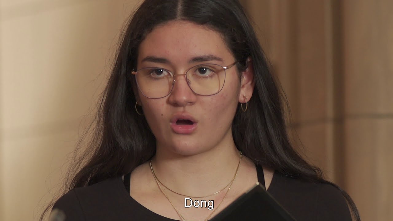 Carol of the Bells | Mykola Leontovych | LaCappella Nuova