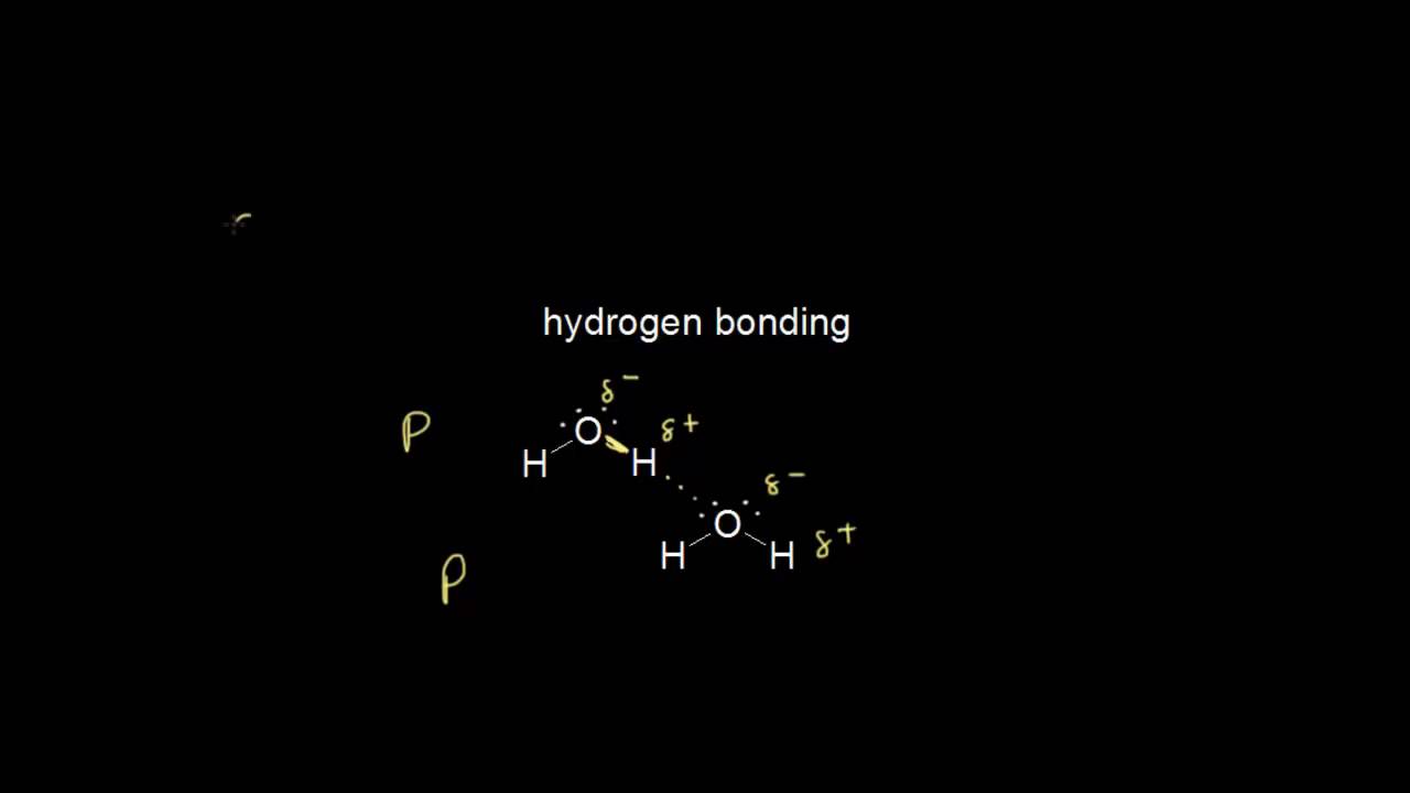 Intermolecular forces | Chemistry of life | Biology | Khan Academy