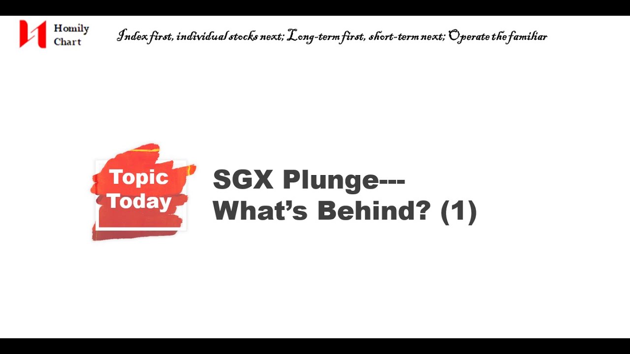 SGX Plunge, What's Behind(1)
