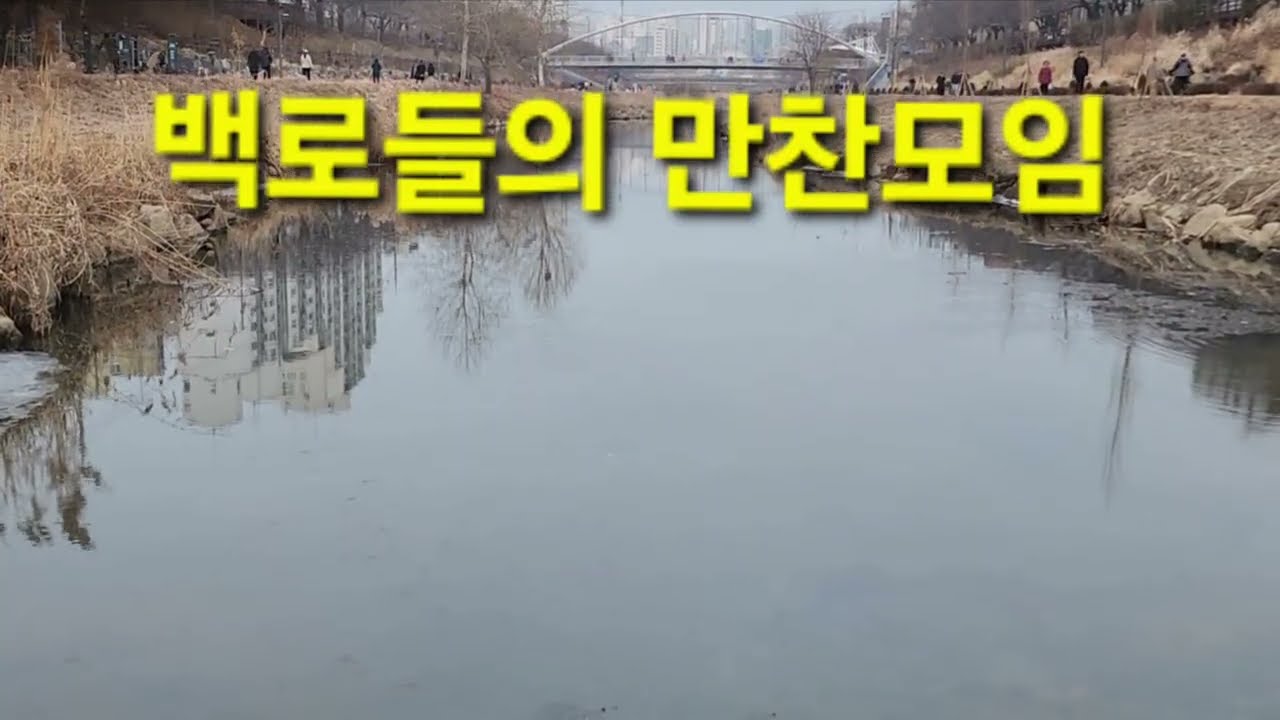 백로들의 만찬