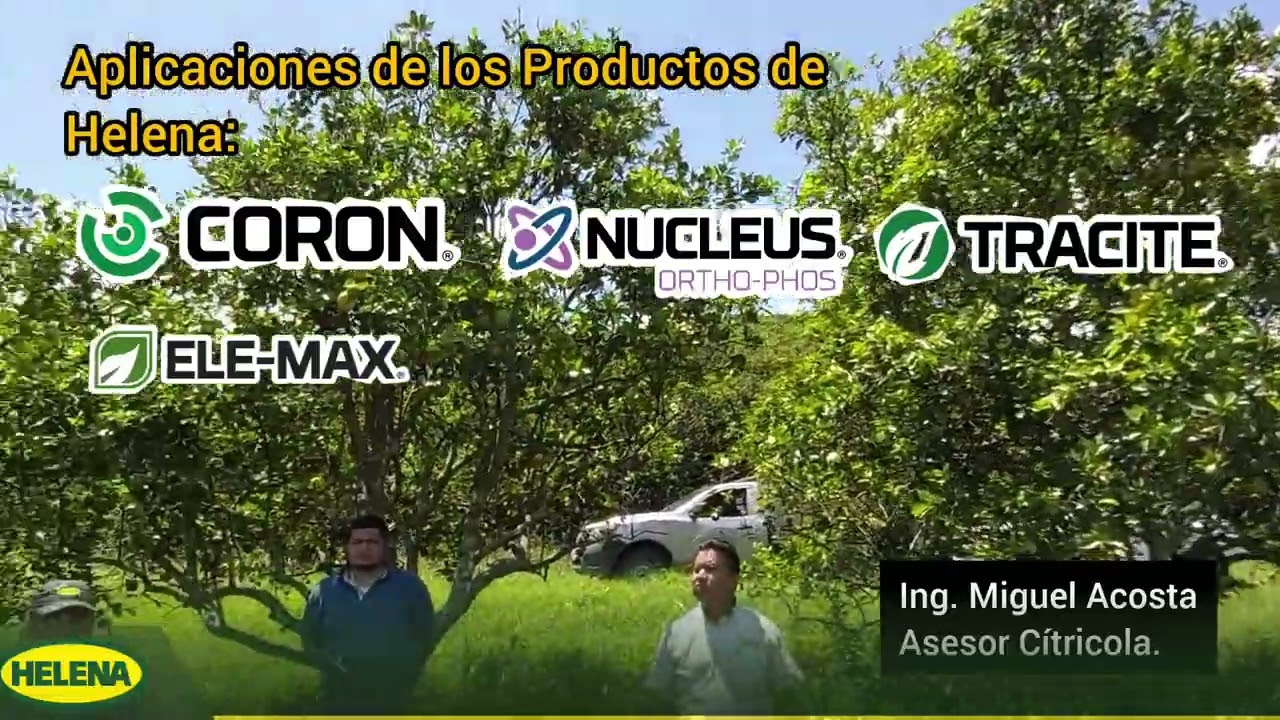 #hlb