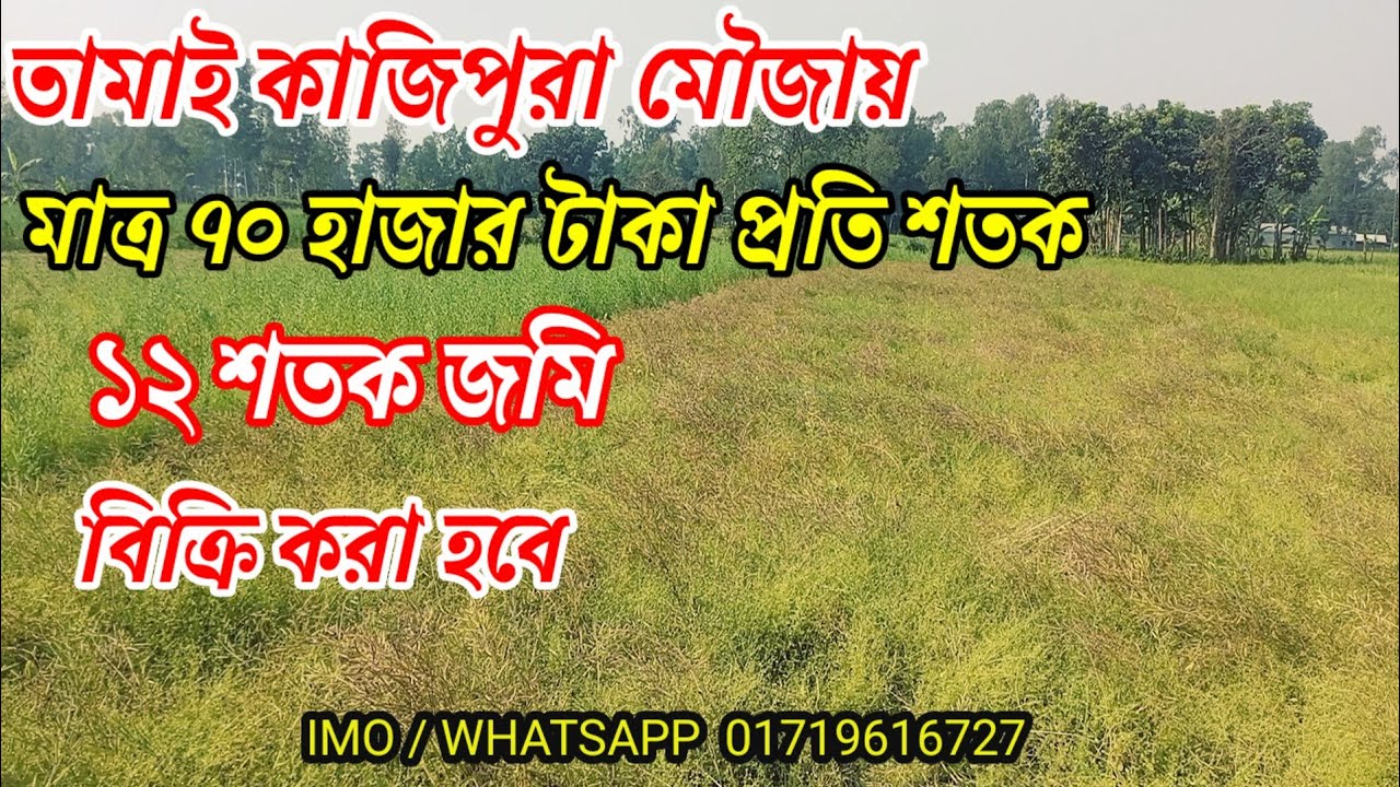মাত্র ৭০ হাজার টাকা শতক জমি | তামাই কাজিপুরা | বেলকুচি | কামারখন্দ| asm tv 27