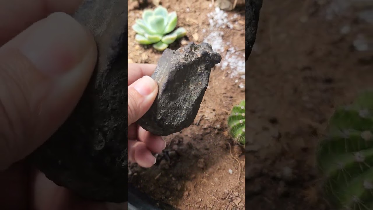 Meteorito / Meteorite