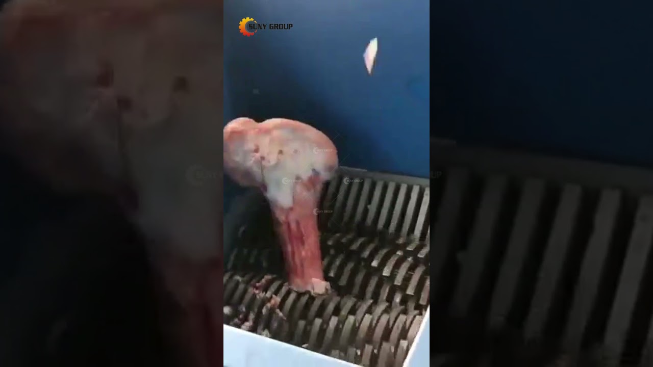Double shaft shredder shreds beef bones#shredder