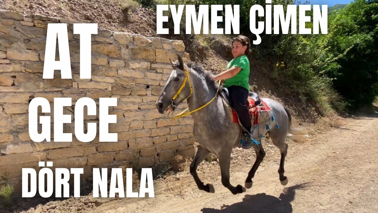 9 YAŞINDA AT SEVDASI BAŞLADI GECEBEY İLE EYMEN ÇİMEN DÖRT NALA