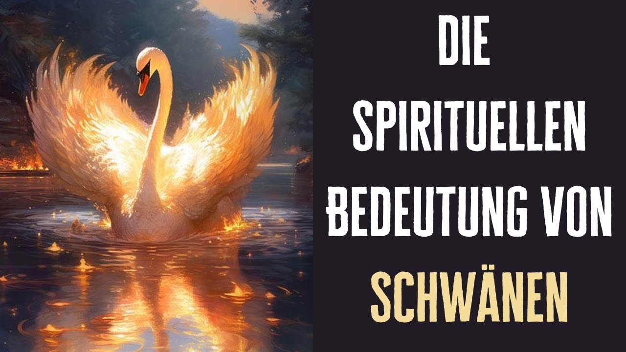 Die Enthüllung der spirituellen Bedeutung von Schwänen!