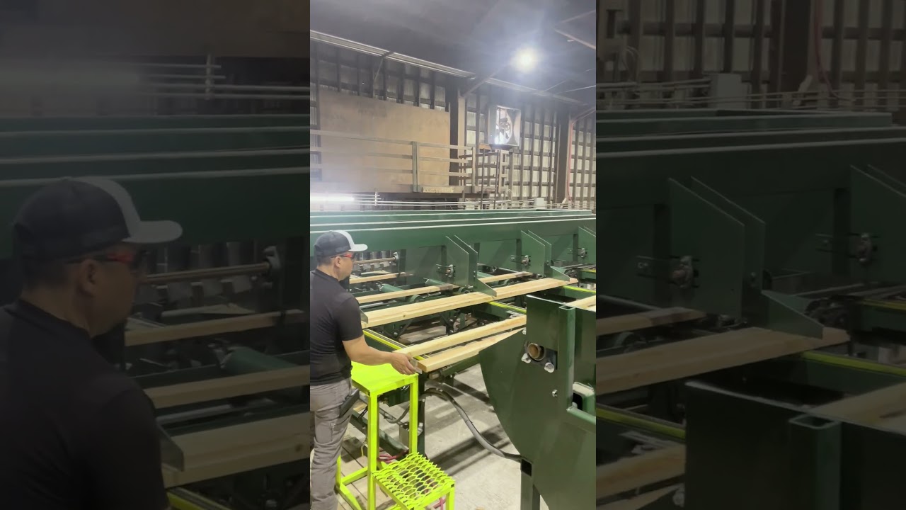 HWP Auto feed trim saw