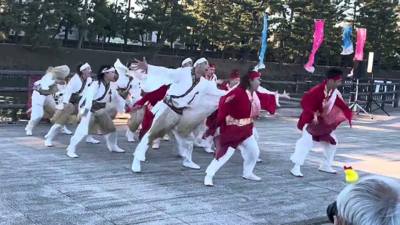 MIROKU〜二つ巴〜/草加よさこい/ウォーターフロント会場ステージ（2回目）/2025年11月3日（祝月）/相模RANBU○＋須賀IZANAI連関東