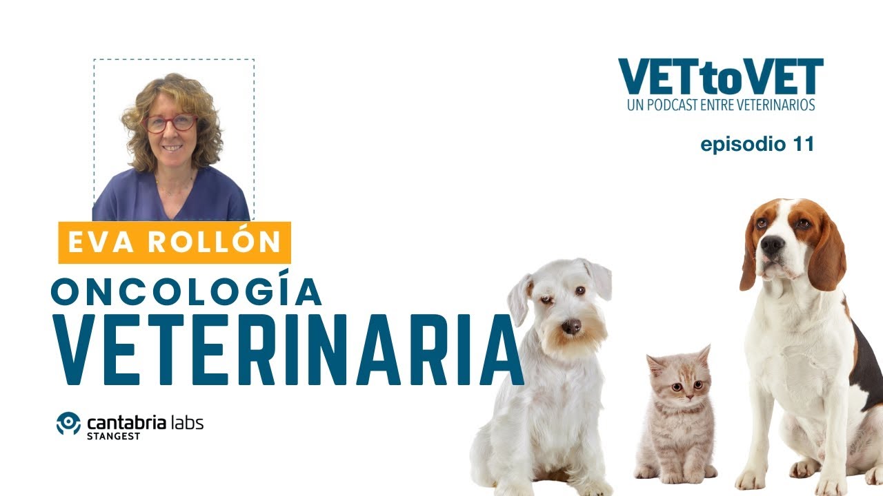 E11 Podcast Vet to Vet: Oncología veterinaria, con Eva Rollón