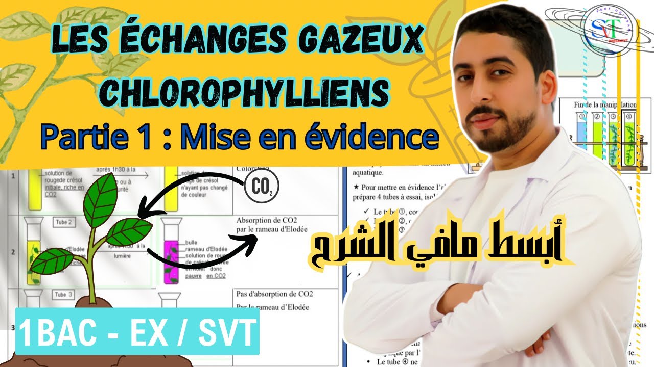 1BAC : Les échanges gazeux chlorophylliens | Partie 1 ⚠️أبسط مافي الشرح ☘️