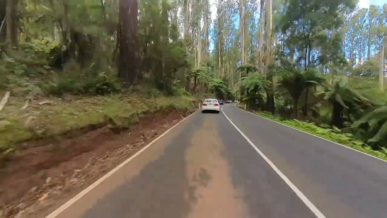 Black Spur Outbound 2x