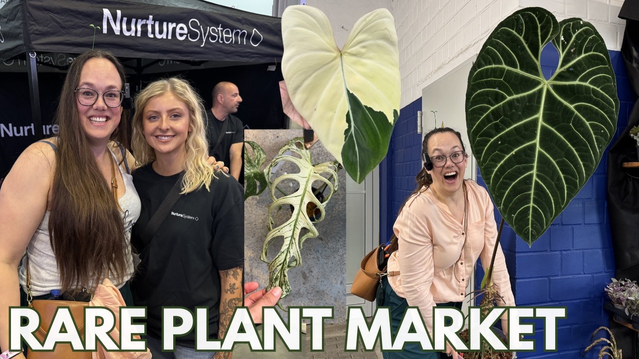 Rare Plant Market Tour spring 2026 | Plant with Roos