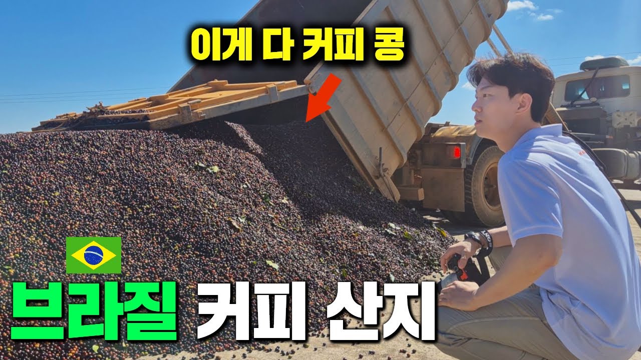 내일도 브라질 들어간 원두 쓴다면 알아야 할 커피 지식