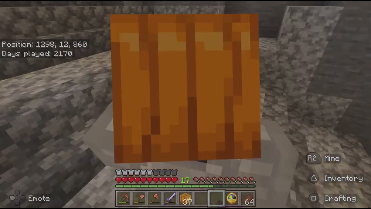 Minecraft_20260207170453 Am I expanding?