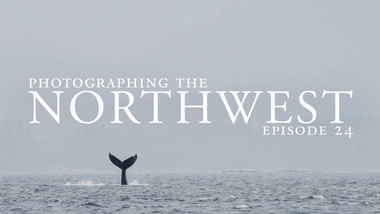 A Week of Travel Photography on Vancouver Island // Sony a7R IV