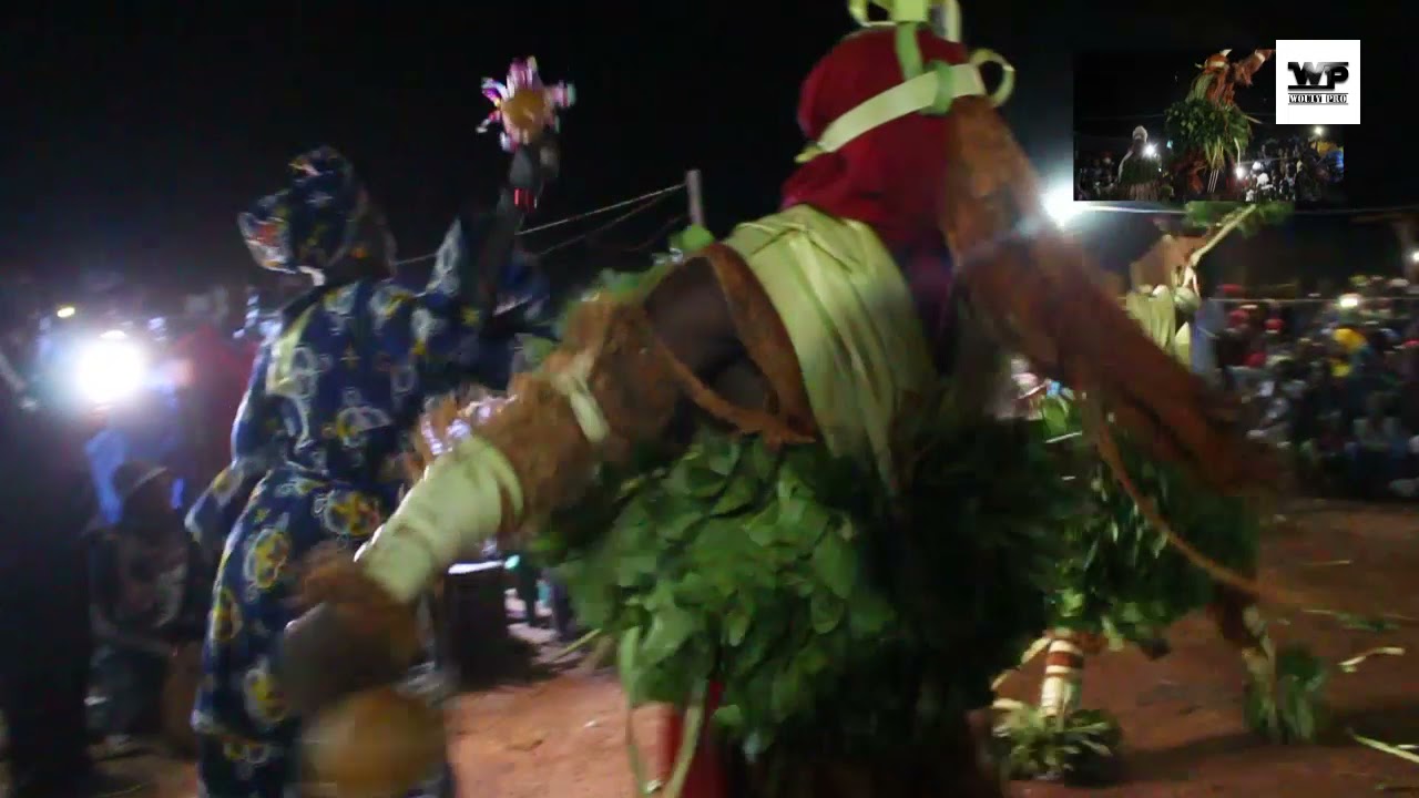Signalo