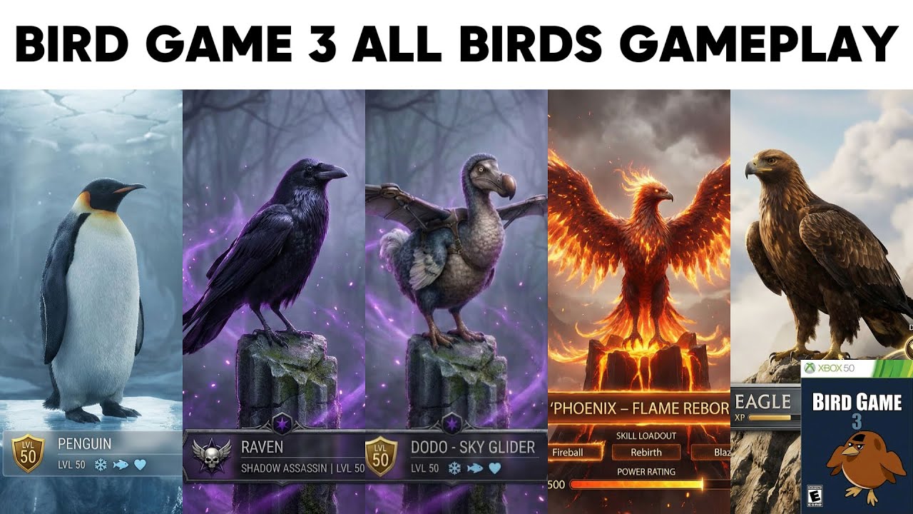 Bird Game 3 All Birds Gameplay Part 2