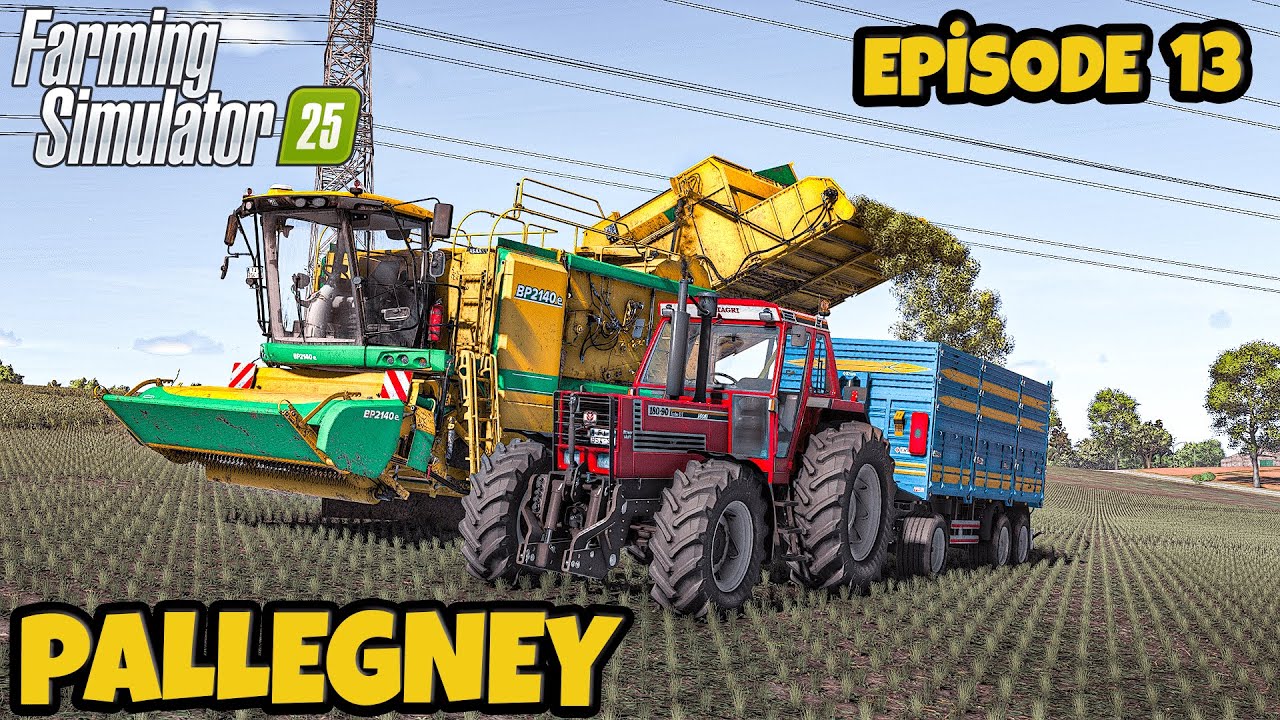 🌱 GÖREV TAZE FASULYE & TOPRAĞI HAZIRLAMAK İÇİN YENİ SATIN ALIMLAR | Pallegney'de Bölüm 13 |FS25