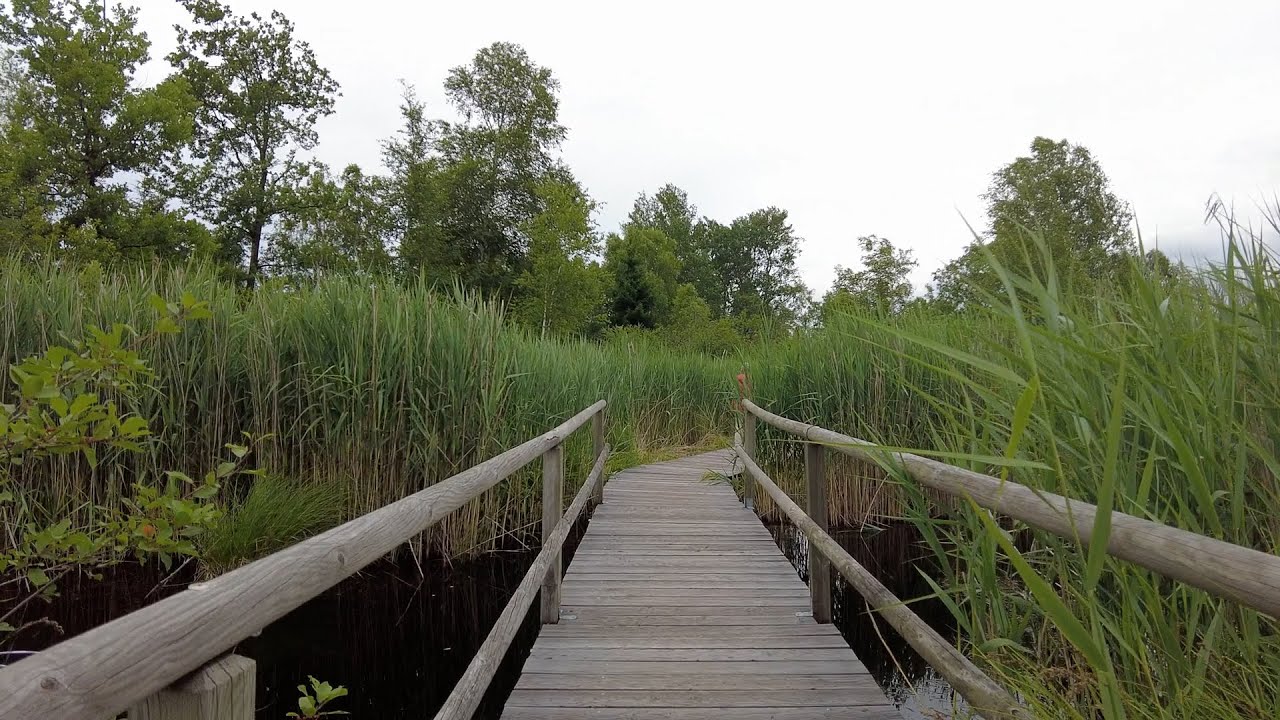 Wanderung bei den Wasserbüffelweiden