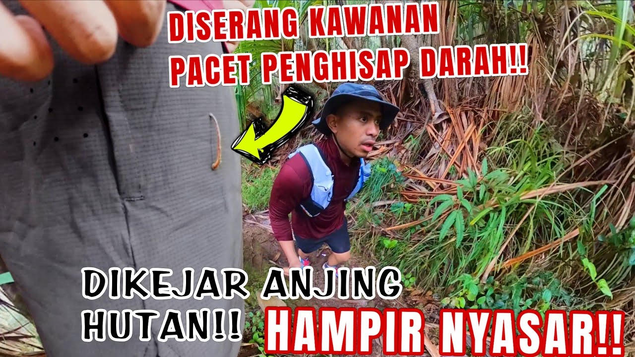 PERTAMA KALI TEKTOK NAIK GUNUNG DI SUMATRA BARAT!!