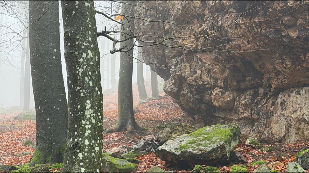 GEODIVERZITA - PRVÁ VRSTVA VŠETKÉHO (Webinár Daphne - Inštitút aplikovanaj ekológie)