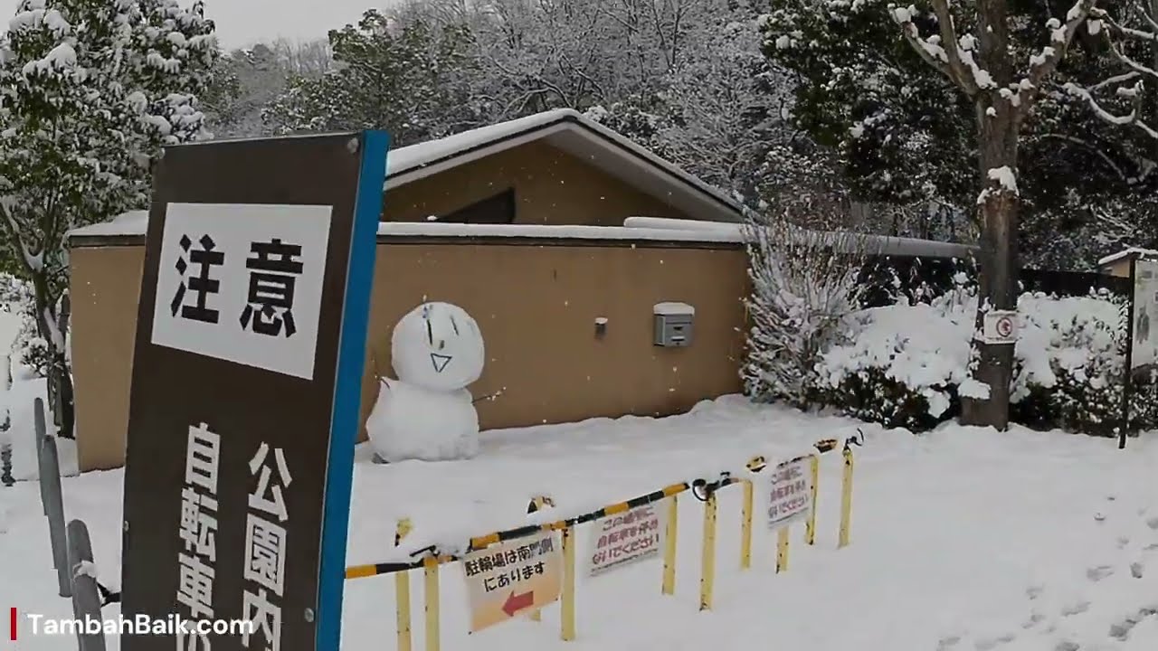 A Snowy Winter Walk to Takaragaike Park Kyoto