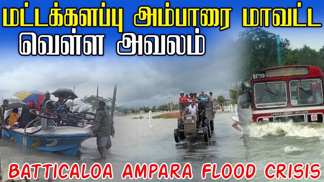 🌧️மட்டு அம்பாரை வெள்ள நிலைமை | Batticaloa & Ampara Flood  Flood Crisis 2025 | Sri Lanka
