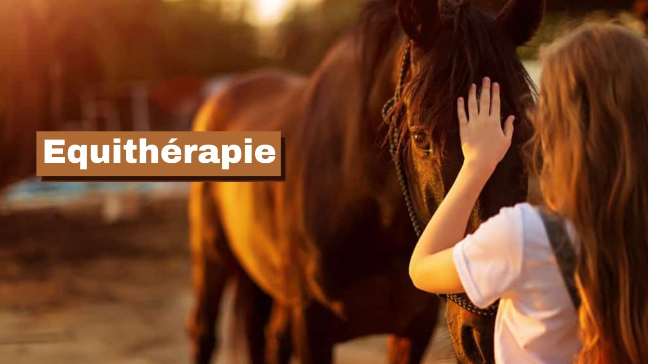Une médiation par le cheval - L'équithérapie