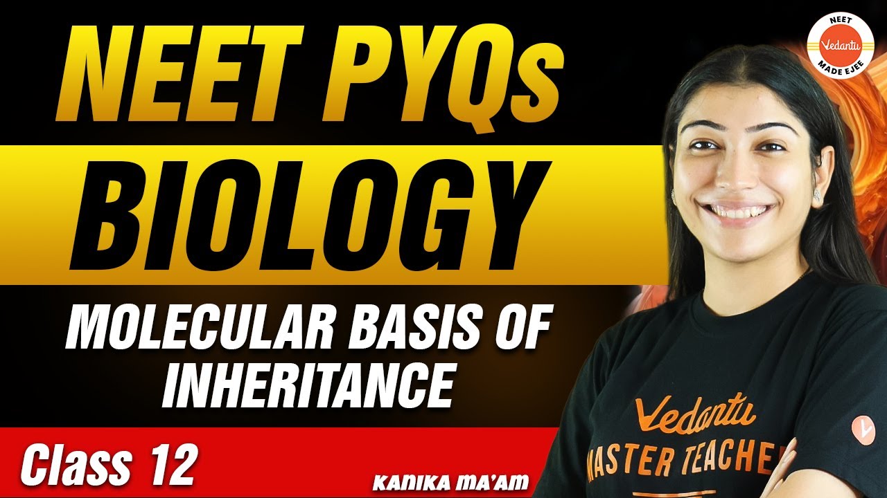 NEET PYQs for Molecular Basis of Inheritance | Class 12 Biology | NEET 2024