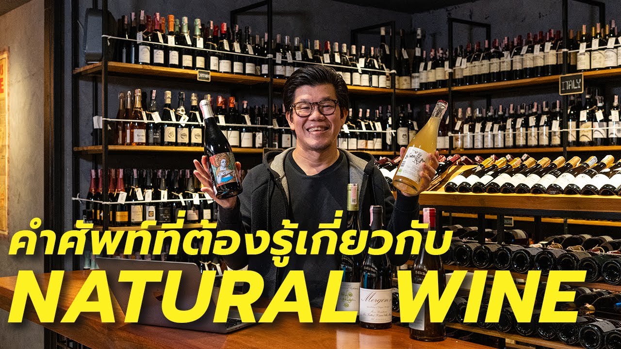 คำศัพท์ที่ต้องรู้เกี่ยวกับ Natural Wine | Swirl Experience