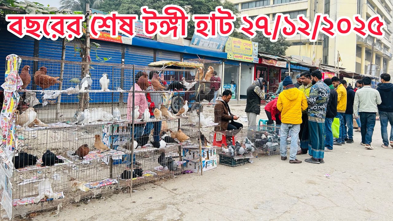 কনকনে শীতের মধ্যে জমেছে গাজীপুরের বিখ্যাত টঙ্গী কবুতর হাট | Kobutor Hat 2025 | MOHAMAD RAFI |