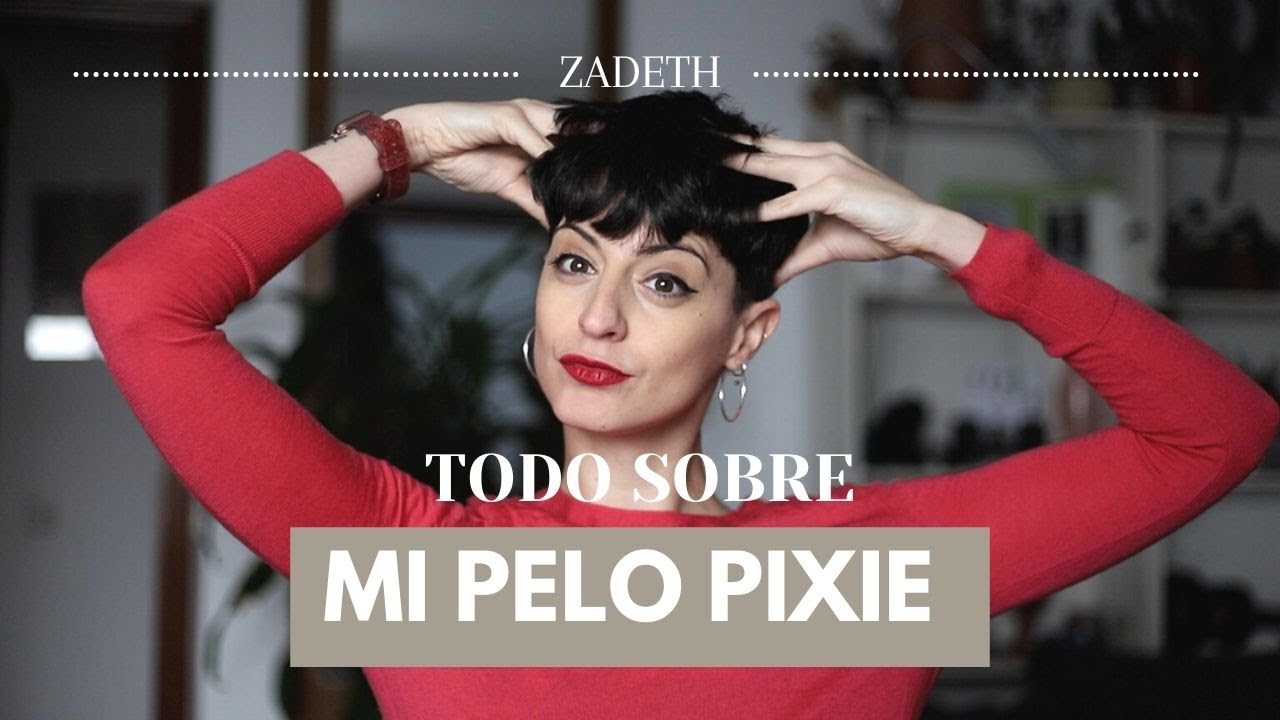TODO SOBRE MI PELO PIXIE
